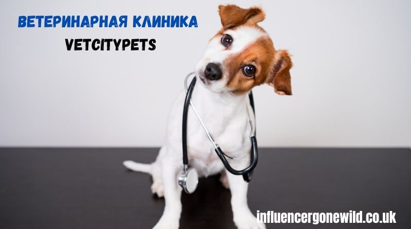 Ветеринарная клиника VetCityPets