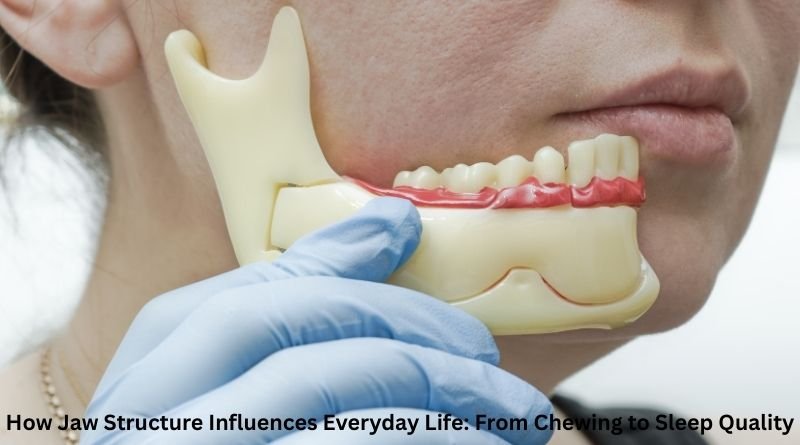 How Jaw Structure Influences Everyday Life: From Chewing to Sleep Quality